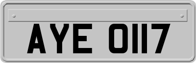 AYE0117