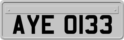AYE0133