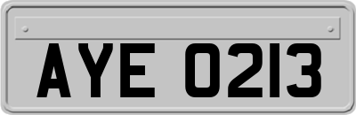 AYE0213