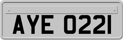 AYE0221