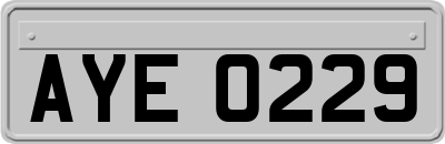 AYE0229