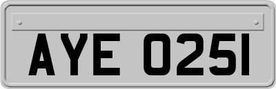 AYE0251
