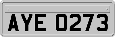 AYE0273