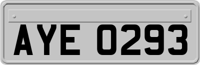 AYE0293