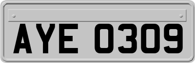AYE0309