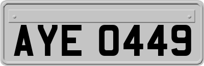 AYE0449