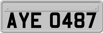 AYE0487