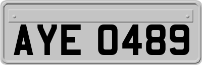 AYE0489