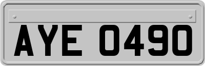 AYE0490