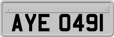 AYE0491