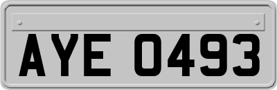 AYE0493