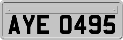 AYE0495