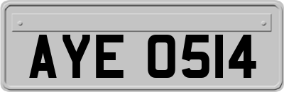 AYE0514
