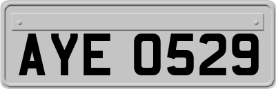 AYE0529