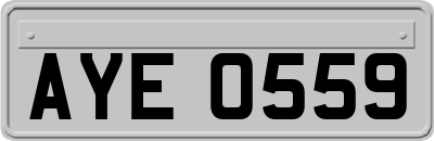 AYE0559