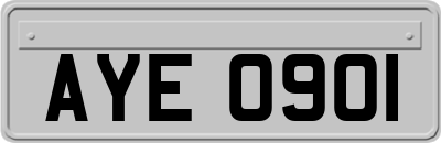 AYE0901