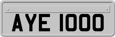 AYE1000