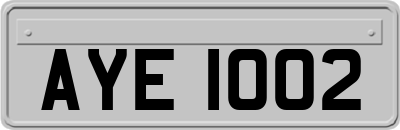 AYE1002