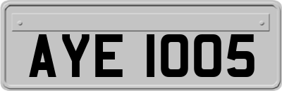 AYE1005