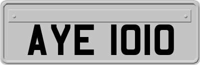 AYE1010