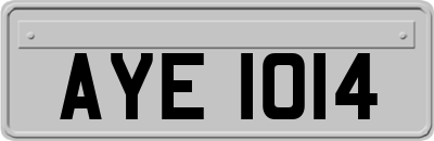 AYE1014