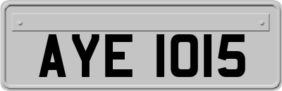AYE1015