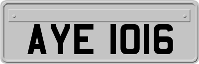 AYE1016