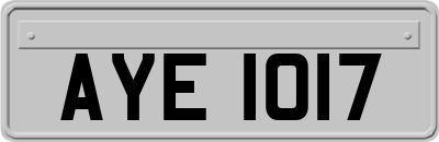 AYE1017
