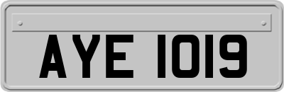AYE1019