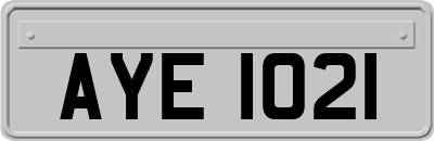 AYE1021