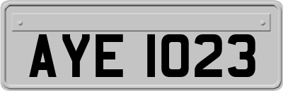AYE1023