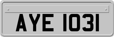 AYE1031