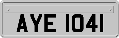 AYE1041