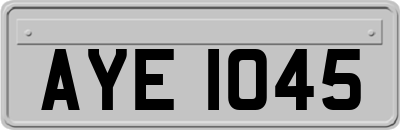 AYE1045