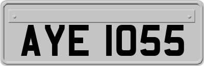 AYE1055
