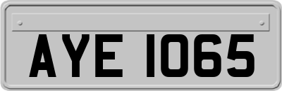 AYE1065