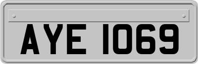 AYE1069