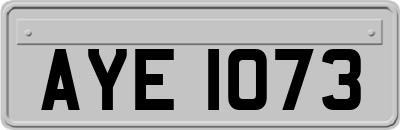 AYE1073