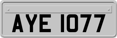 AYE1077