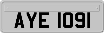 AYE1091
