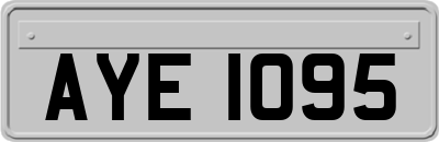 AYE1095