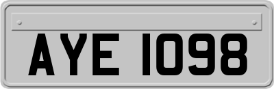AYE1098