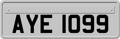 AYE1099