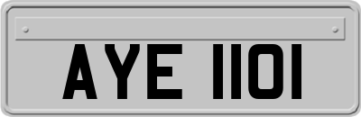 AYE1101