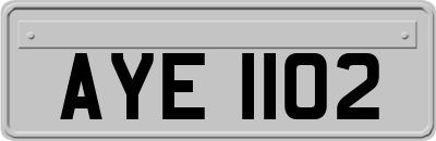 AYE1102