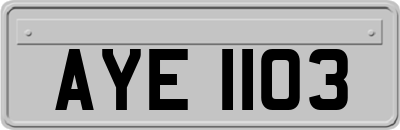 AYE1103