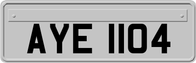 AYE1104