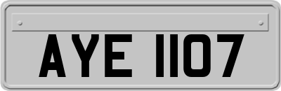 AYE1107