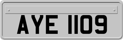 AYE1109