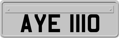 AYE1110